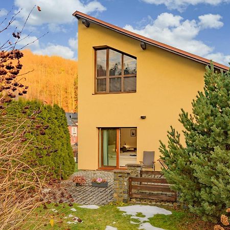 Apartman Hamrovka Velké Hamry エクステリア 写真